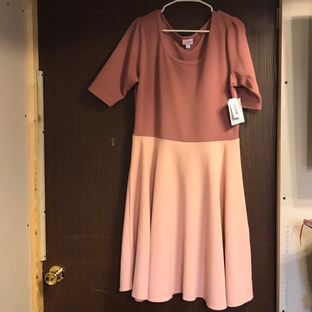 BNWT Lularoe Nicole dress